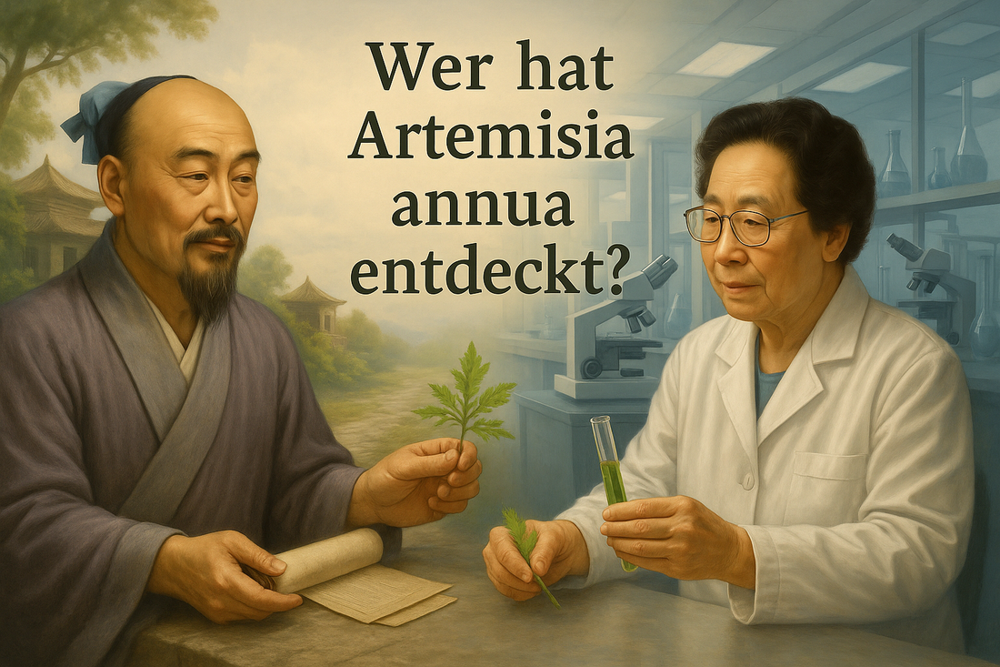 Von Ge Hong bis Tu Youyou: Die Geschichte der Artemisia annua