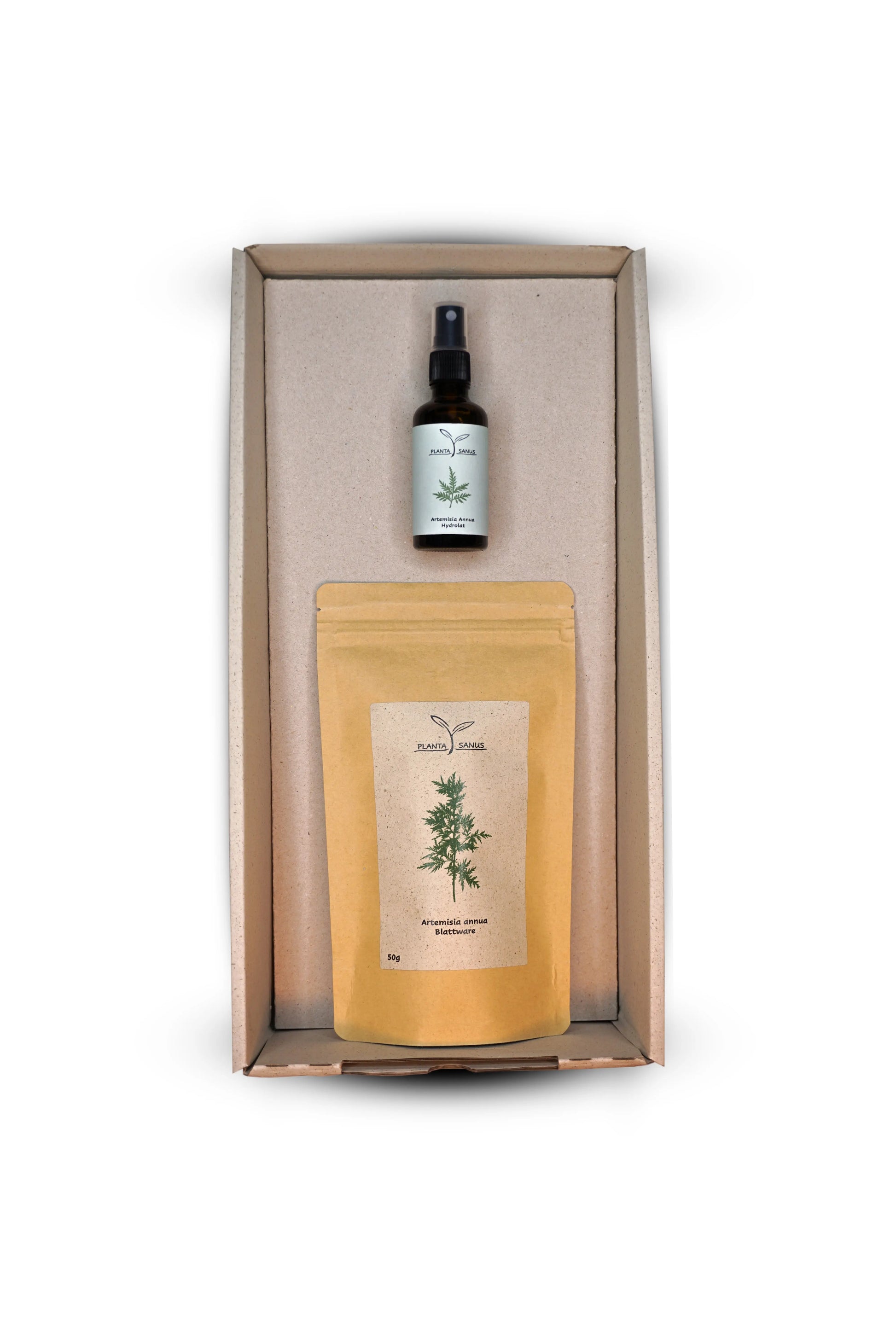 Artemisia annua Geschenkbox klein Planta Sanus