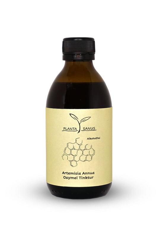 Artemisia annua Oxymel