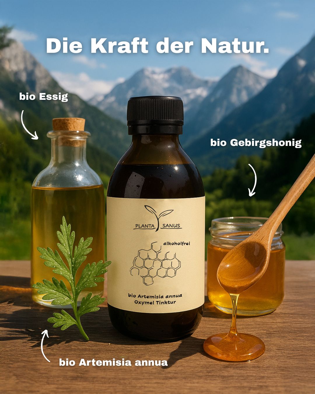 Artemisia annua Oxymel Tinktur Inhaltsstoffe
