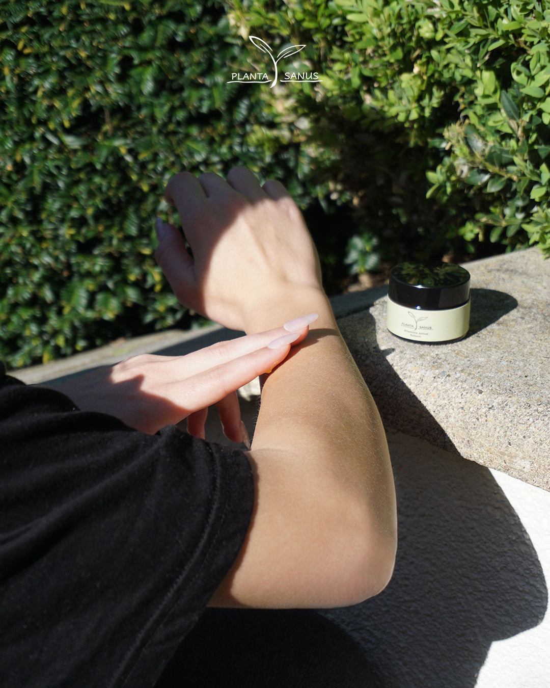 Salbe Artemisia annua