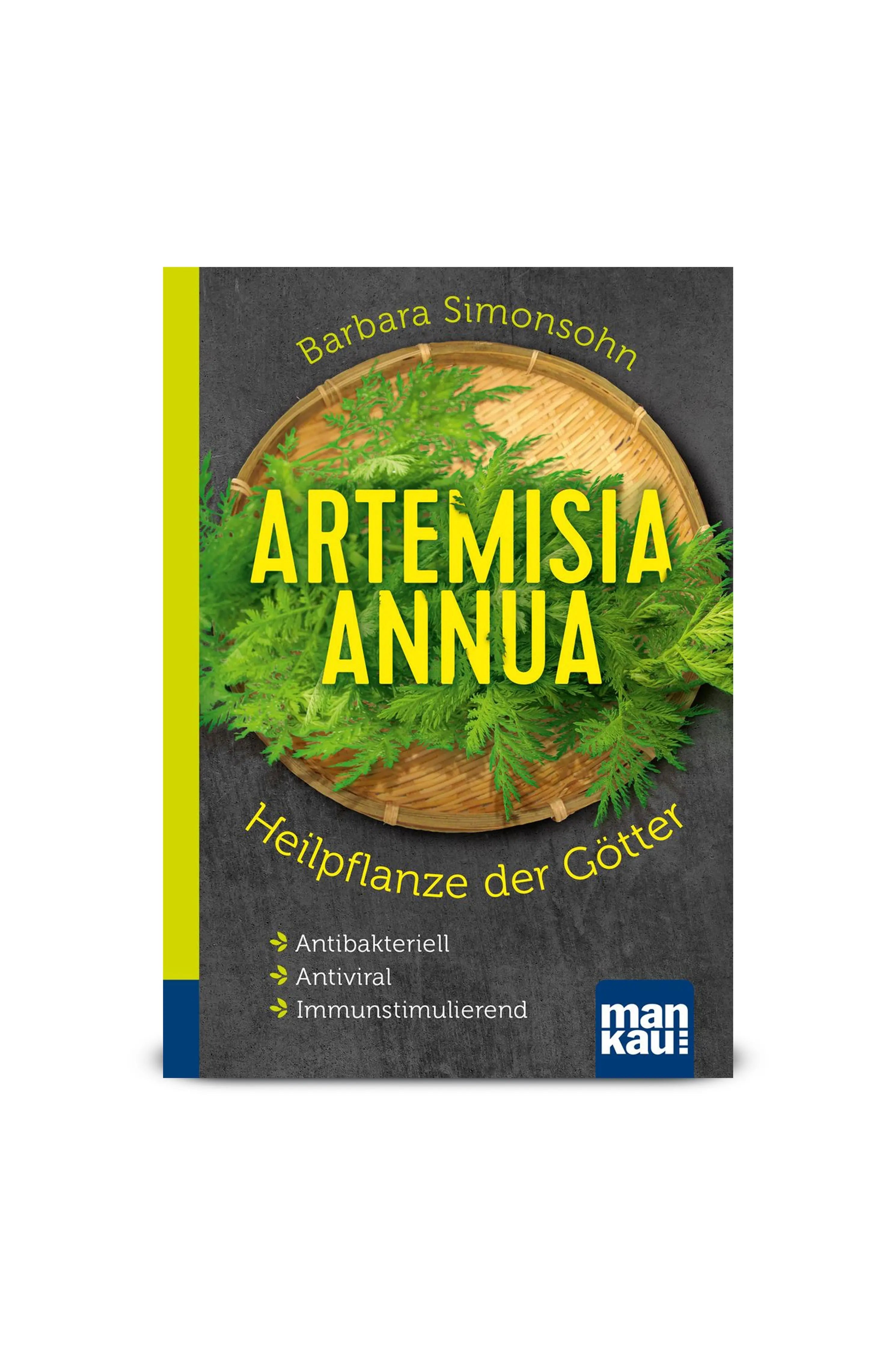 Artemisia annua  Heilpflanzenkraft in Bio-Qualität