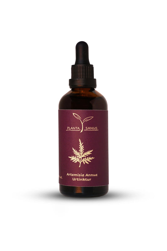Artemisia annua bio Urtinktur