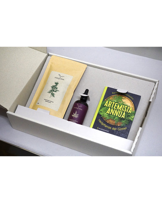 Bio Artemisia annua Geschenksbox