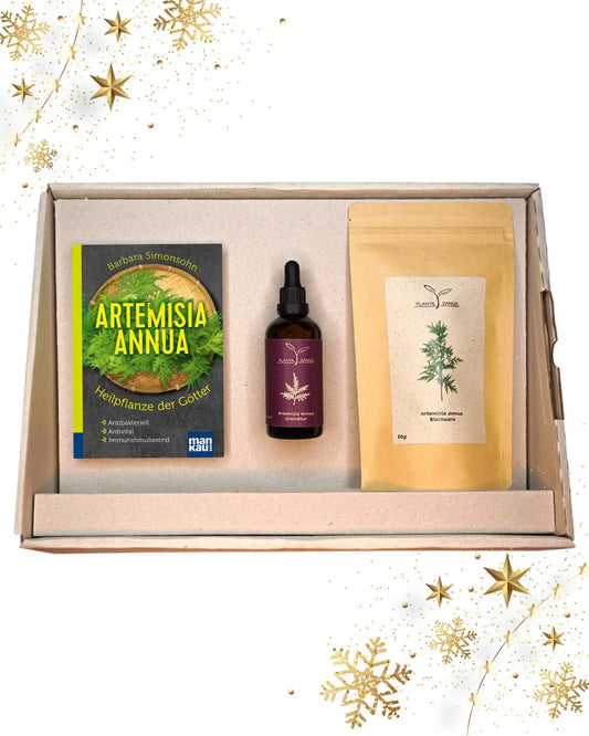 Artemisia annua Geschenkbox groß Planta Sanus