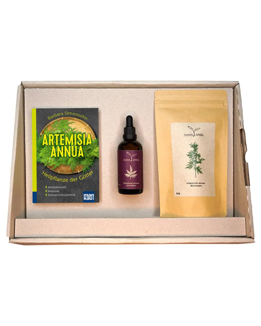 Artemisia annua Geschenkbox groß Planta Sanus