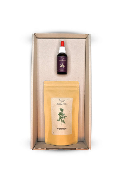 Artemisia annua Geschenkbox klein Planta Sanus