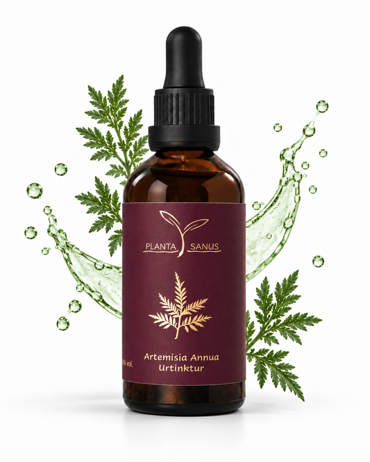 Artemisia annua bio Urtinktur Planta Sanus
