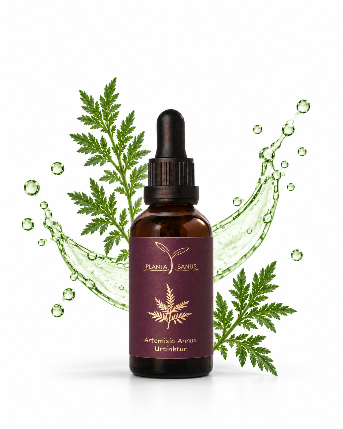 Artemisia annua bio Urtinktur Planta Sanus