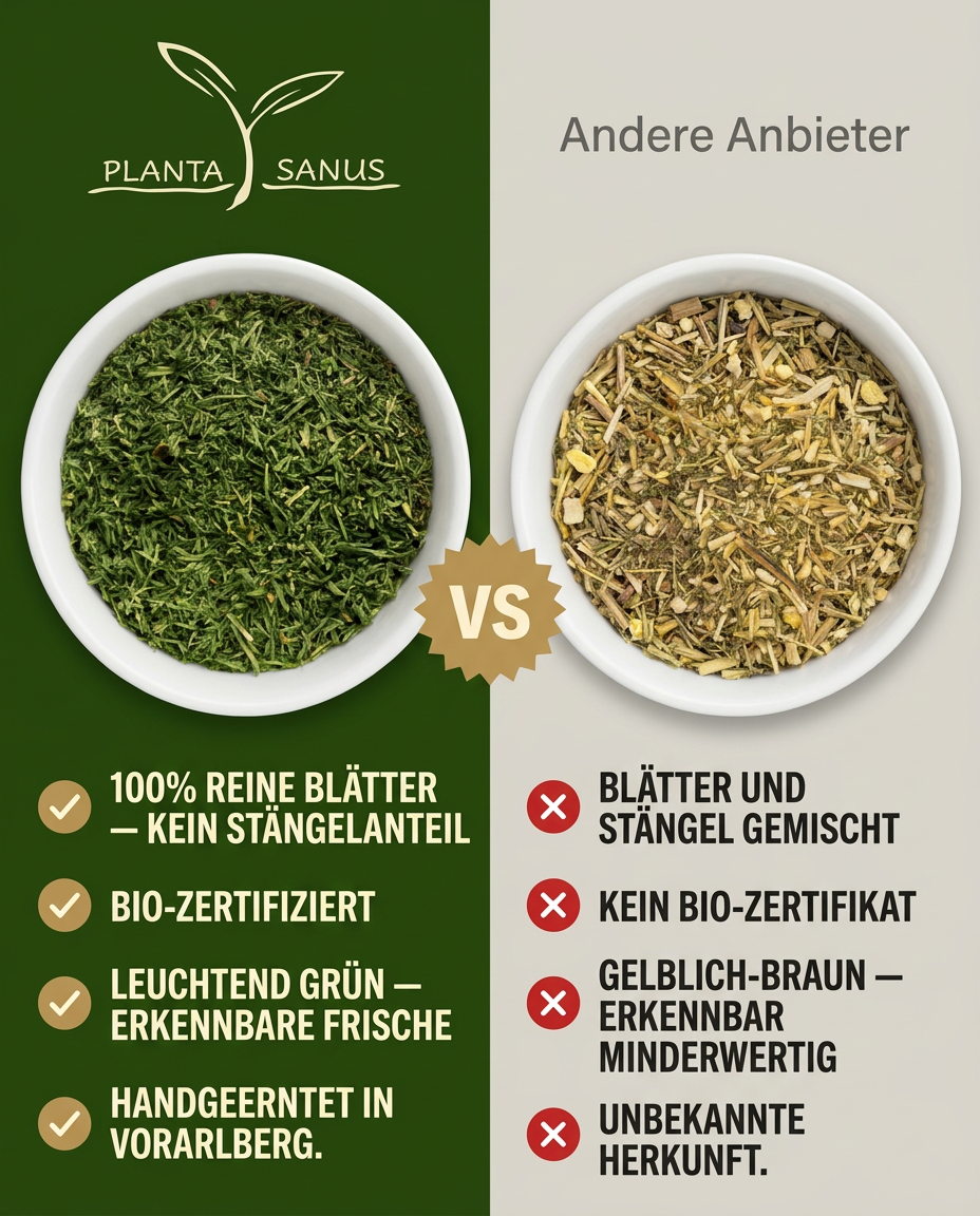 Artemisia annua bio Blattware Planta Sanus