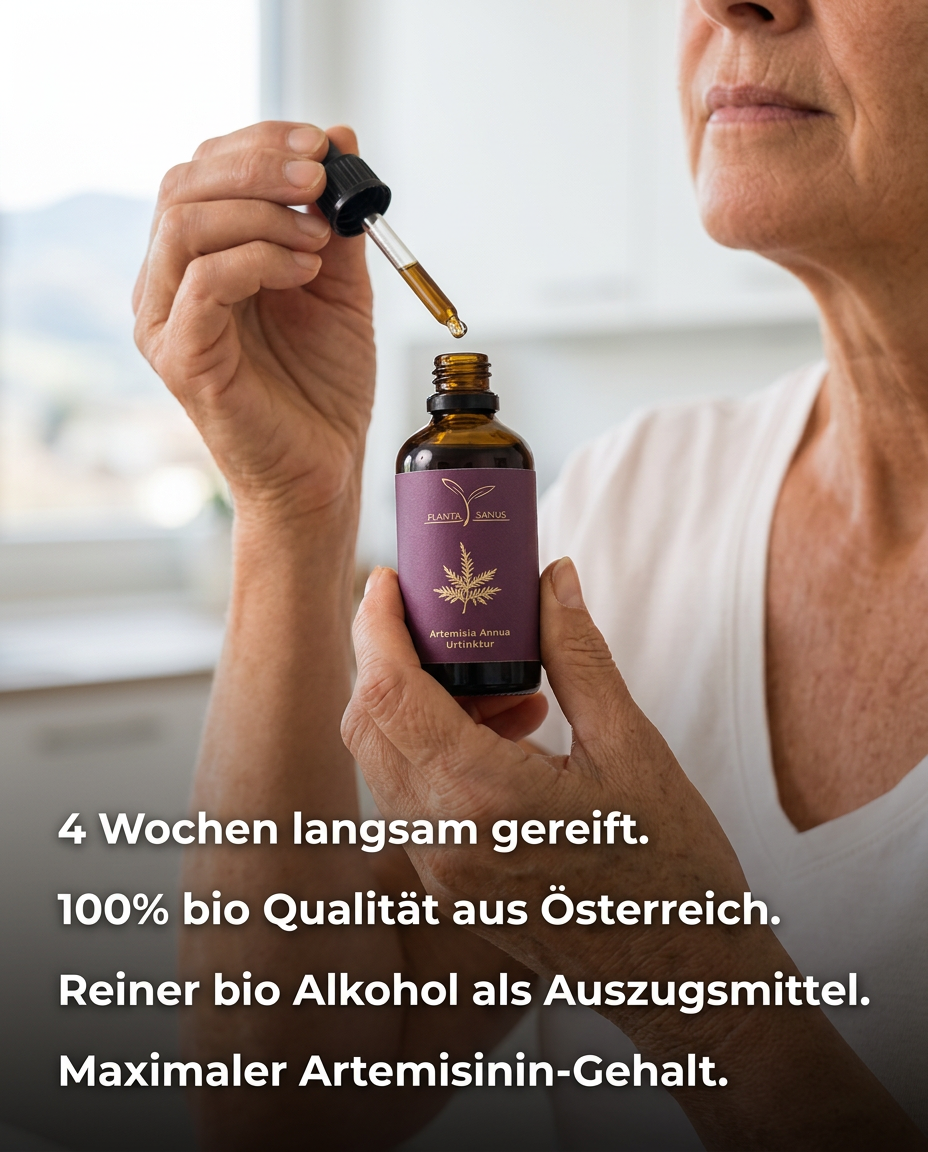 Artemisia annua bio Urtinktur Planta Sanus
